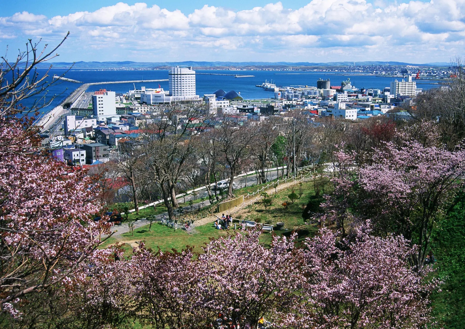 🌳 왓카나이 공원 (왓카나이 코엔) 이미지 5